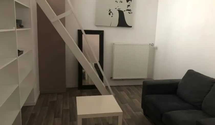 Location Roubaix Appartement 678a4cca83ea