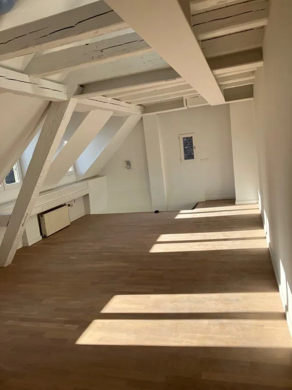 Location Strasbourg Appartement 679a4f267e8a