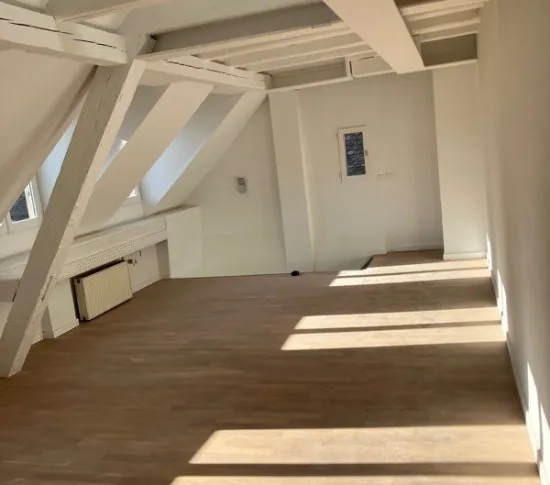 Location Strasbourg Appartement 679a4f267e8a