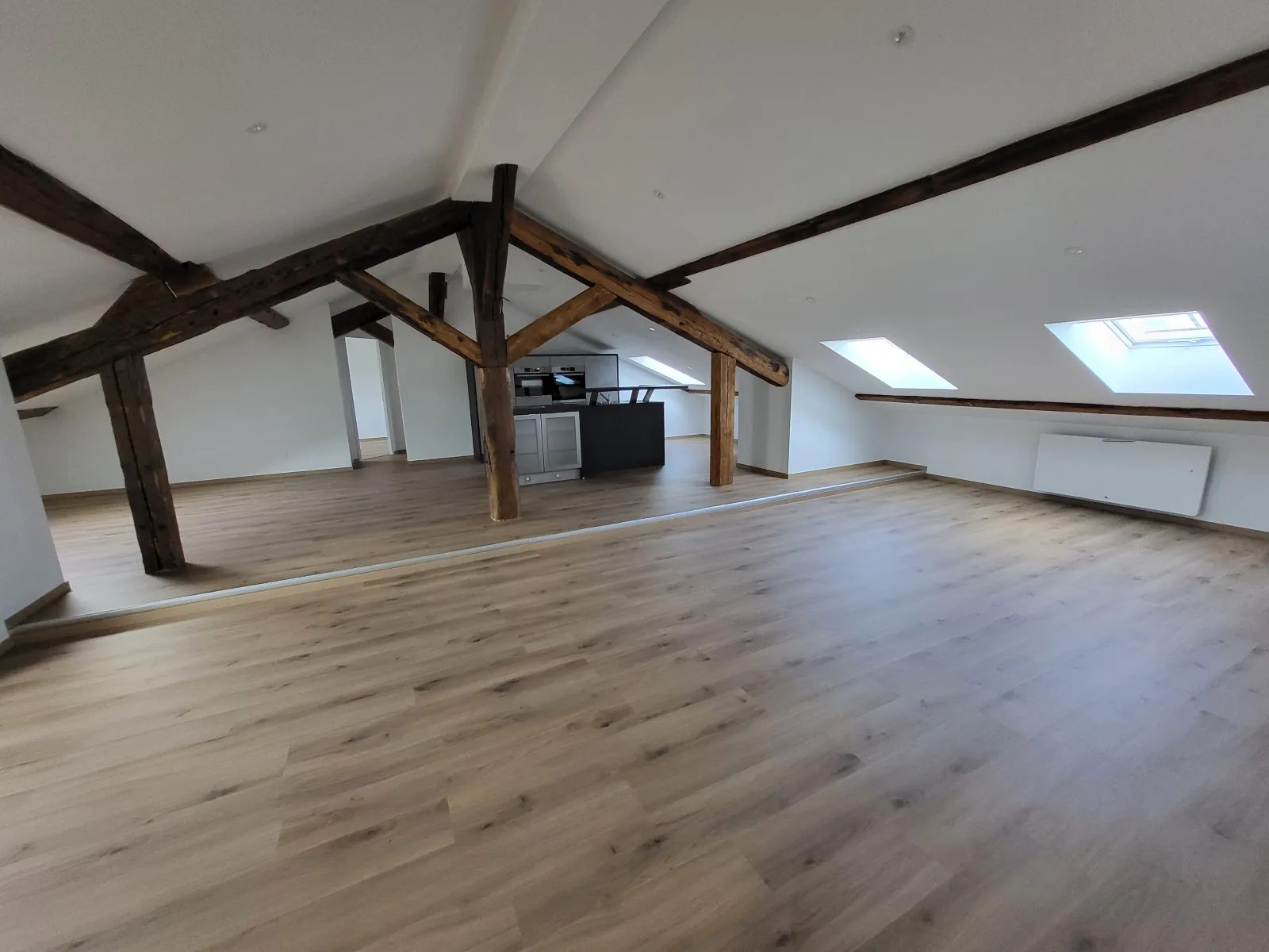 Location Nancy Appartement 679cbcf96414