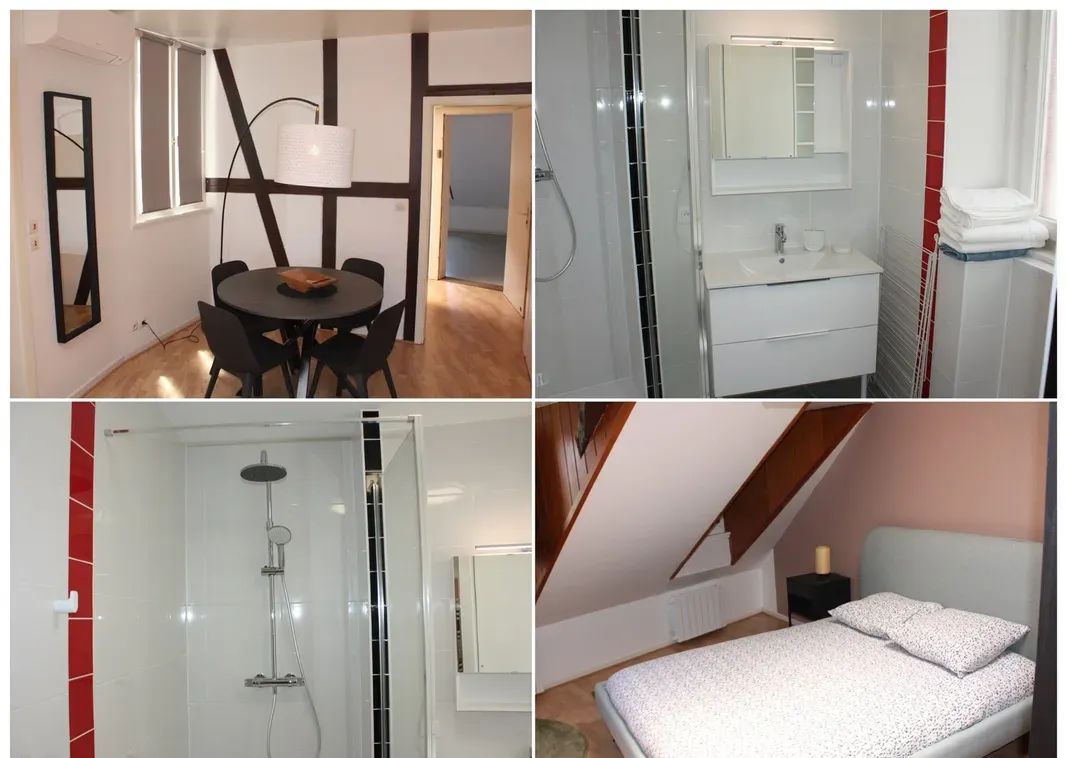 Location Strasbourg Appartement 6cfad15c