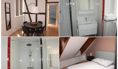 Location Strasbourg Appartement 6cfad15c