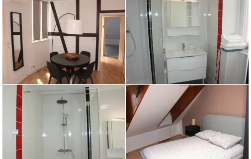 Location Strasbourg Appartement 6cfad15c