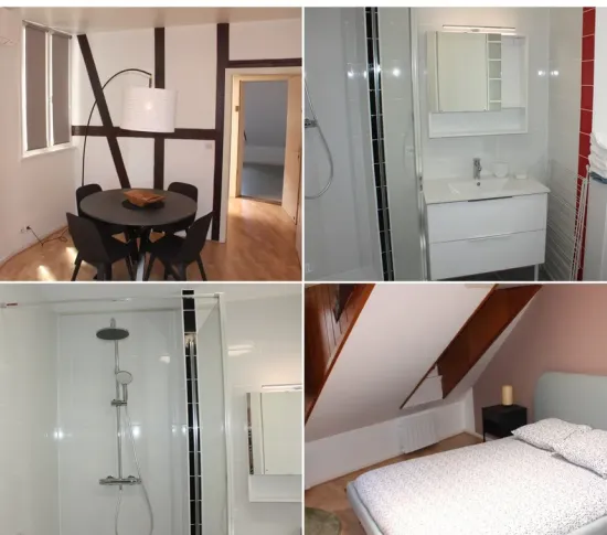 Location Strasbourg Appartement 6cfad15c