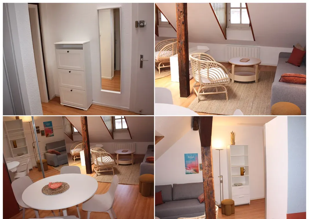 Location Strasbourg Appartement 6cfad15c