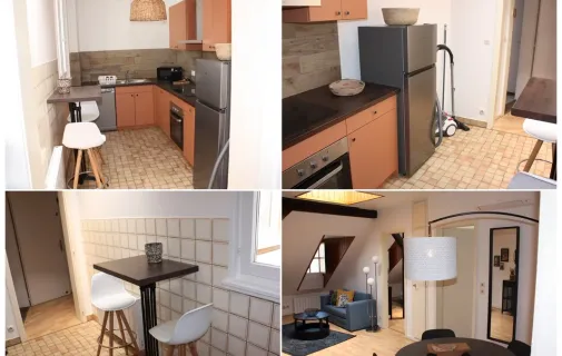 Location Strasbourg Appartement 6cfad15c