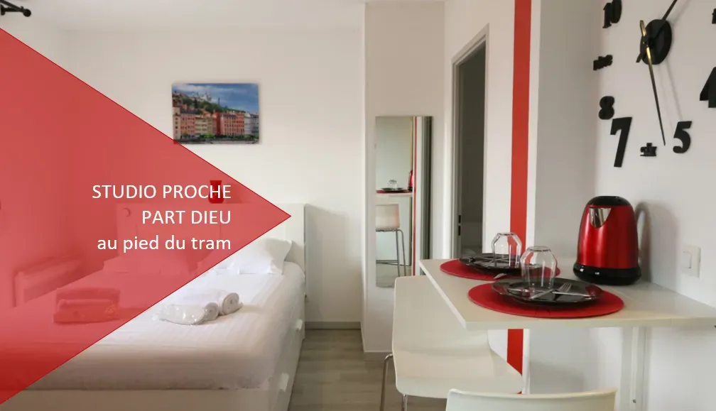 Location Lyon Appartement 716c4281