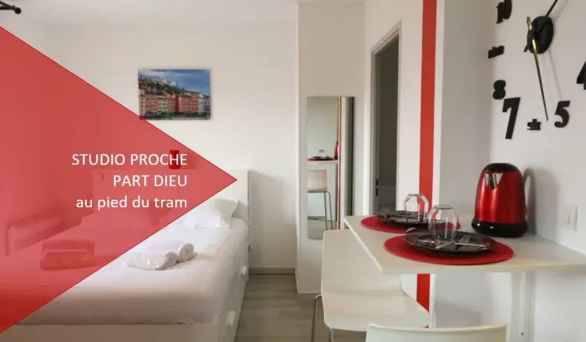 Location Lyon Appartement 716c4281