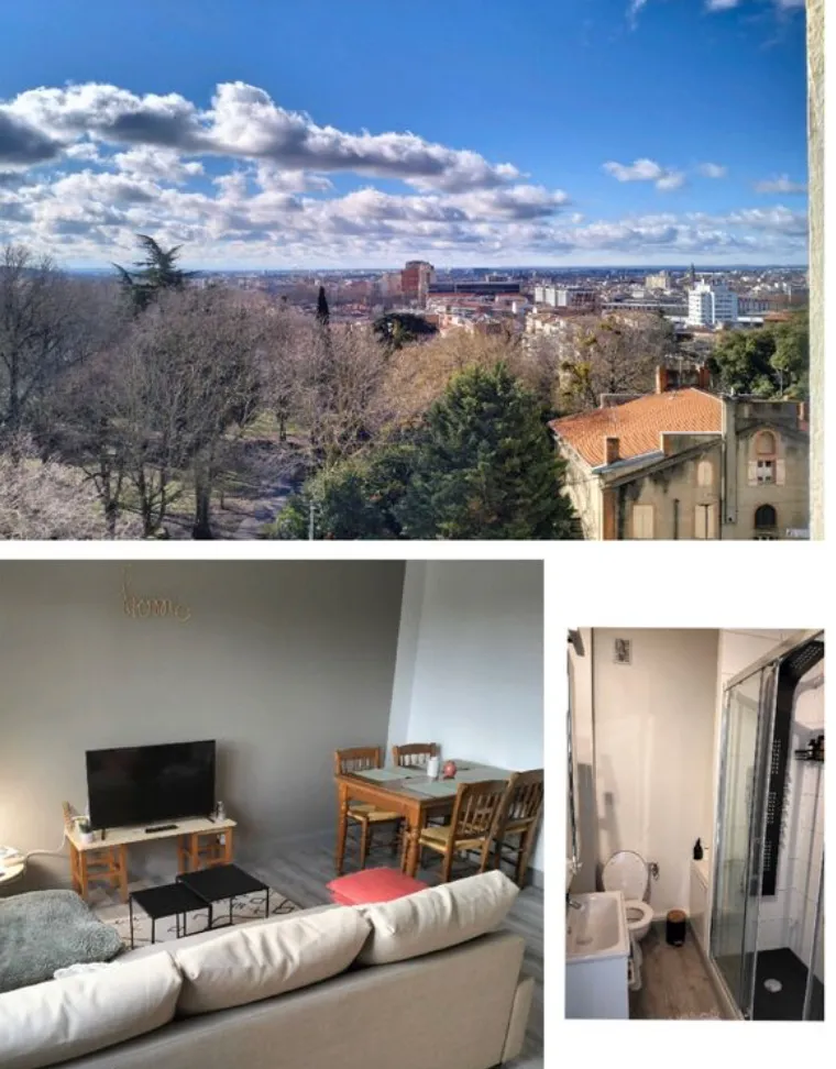 Location Toulouse Appartement 80b4e65f