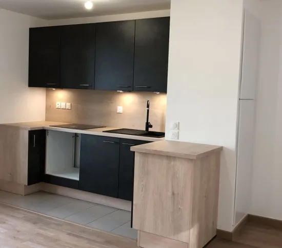 Location Lyon Appartement 83776ae4