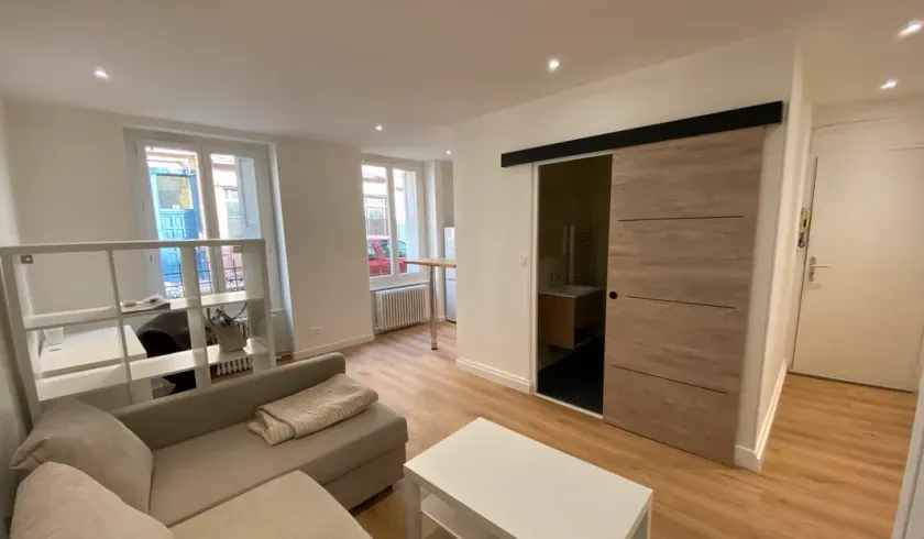 Location Saint-Étienne Appartement 85aebf74