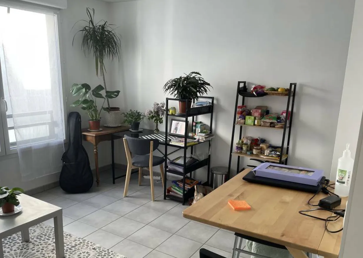 Location Lyon Appartement 8fdc792b