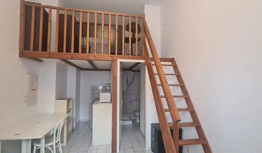 Location Paris Appartement 91320165