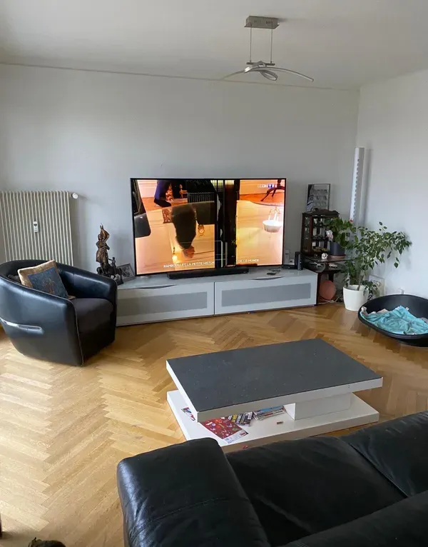 Location Lyon Appartement 94c73806