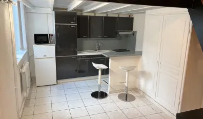 Location Lille Appartement 98d234d1