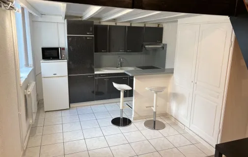 Location Lille Appartement 98d234d1