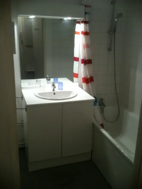 Location Villeurbanne Appartement 9c013eac