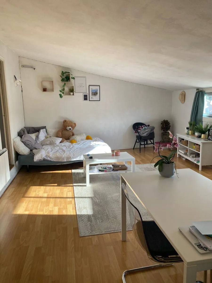 Location Toulouse Appartement 9f464370