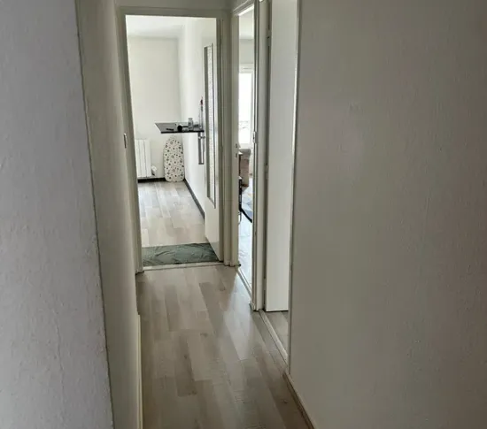 Location Nancy Appartement a0fb6aed