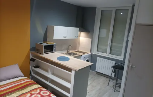 Location Saint-Étienne Appartement a611e3a4