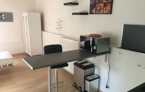 Location Lille Appartement aafd4cba