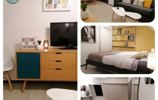 Location Strasbourg Appartement b8ede8db