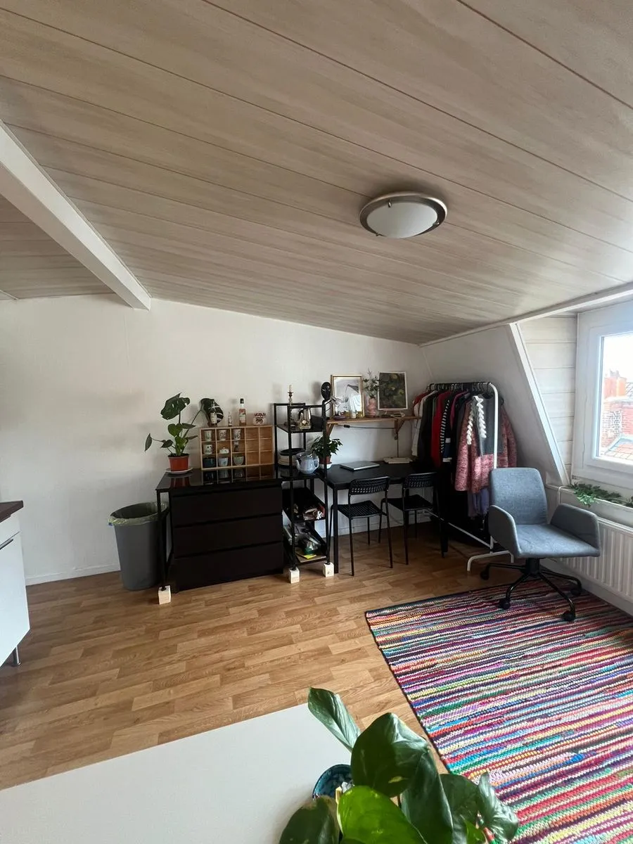 Location Lille Appartement bae0a8dc