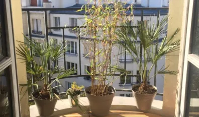 Location Boulogne-Billancourt Appartement bd67043d