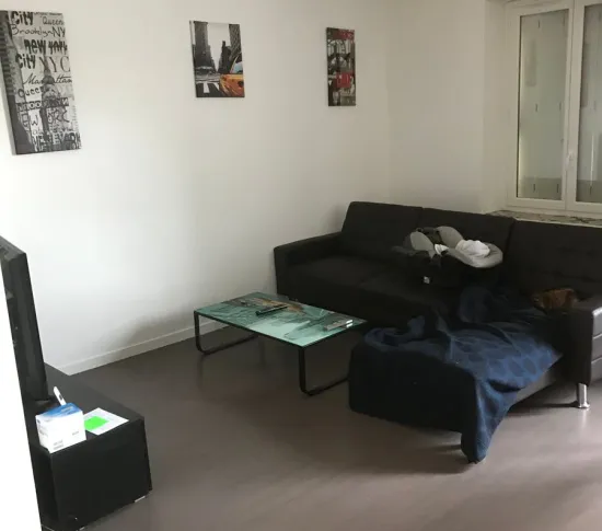 Location Roche-la-Molière Appartement d96bd00e