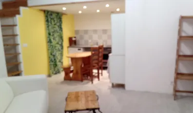 Location Le Kremlin-Bicêtre Appartement e3524320