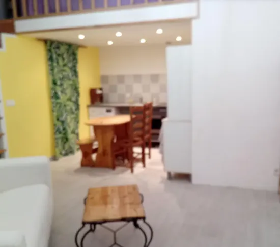 Location Le Kremlin-Bicêtre Appartement e3524320