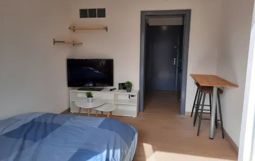 Location Mulhouse Appartement e3e141ad