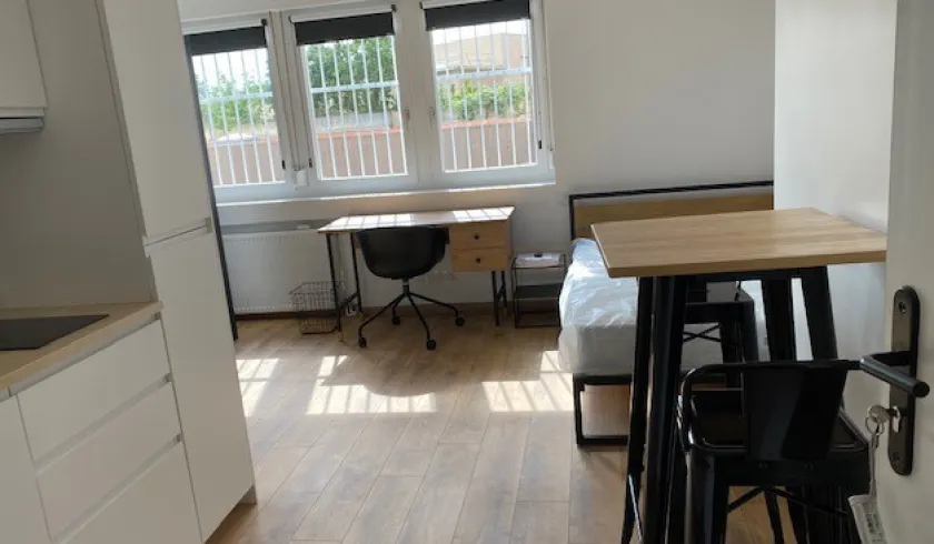 Location Lyon Appartement ee6bf6f7