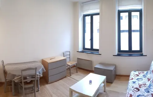 Location Lille Appartement eedd5cd0