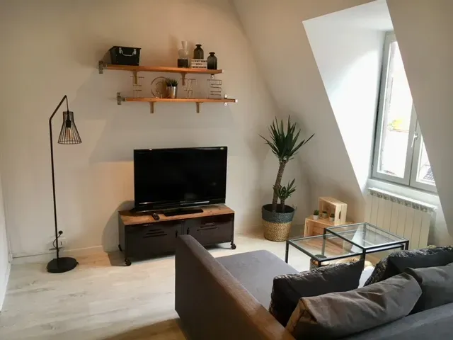 Location Lille Appartement ef76a0ed