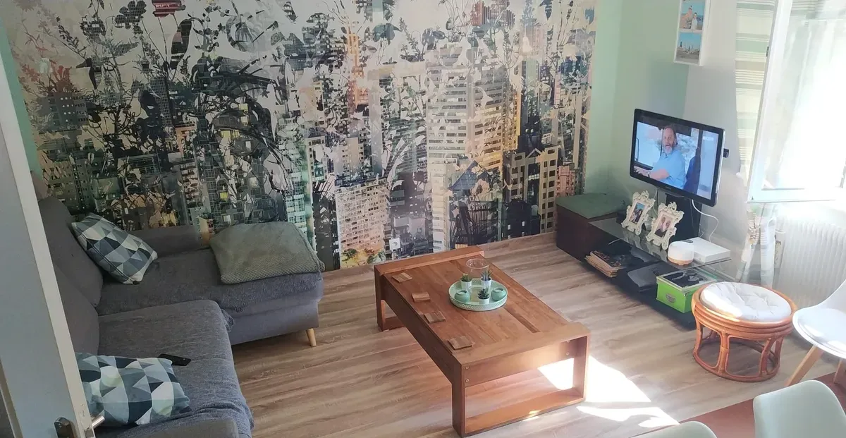 Location Lille Appartement f36fa896