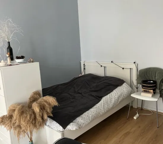 Location Lille Appartement f7a755ff